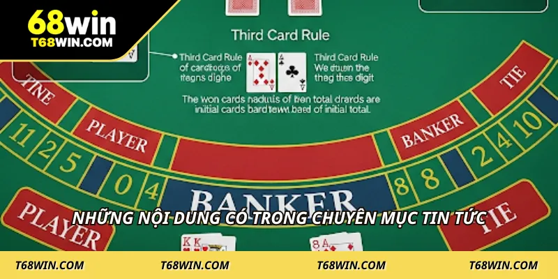 Những nội dung có trong chuyên mục tin tức