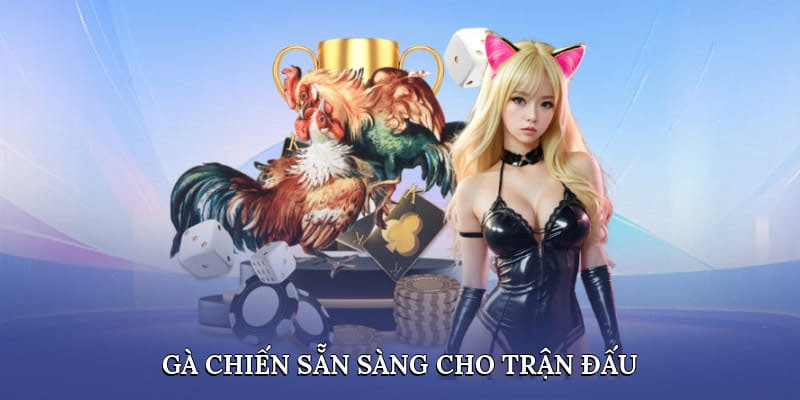 Nguồn gốc và sự tiến hóa